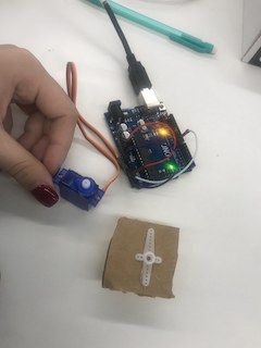 Feeder setup
