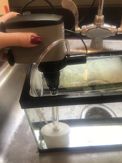 Filter in Tank